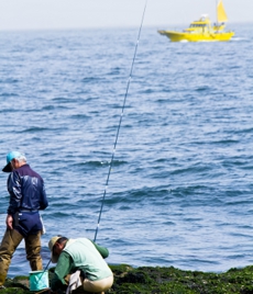 八重桜には、海洋生物を丸ごと分解した、濃厚なエキスが使われています